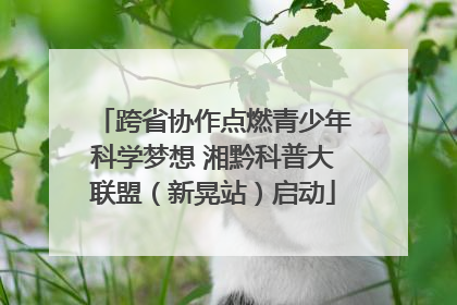 跨省协作点燃青少年科学梦想 湘黔科普大联盟（新晃站）启动
