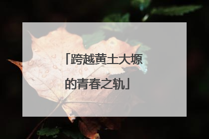 跨越黄土大塬的青春之轨
