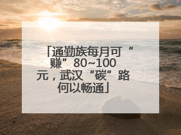 通勤族每月可“赚”80~100元，武汉“碳”路何以畅通