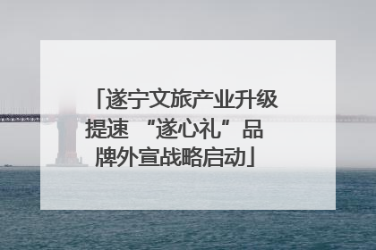 遂宁文旅产业升级提速 “遂心礼”品牌外宣战略启动