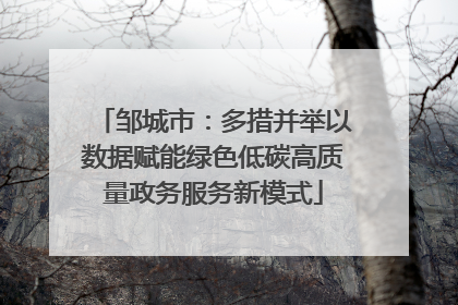 邹城市：多措并举以数据赋能绿色低碳高质量政务服务新模式
