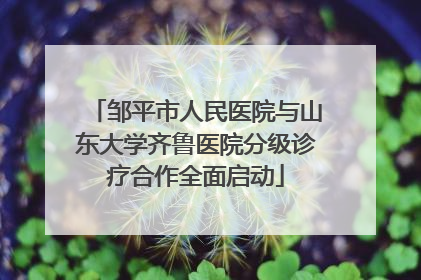 邹平市人民医院与山东大学齐鲁医院分级诊疗合作全面启动