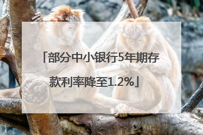 部分中小银行5年期存款利率降至1.2%