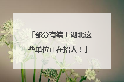 部分有编！湖北这些单位正在招人！