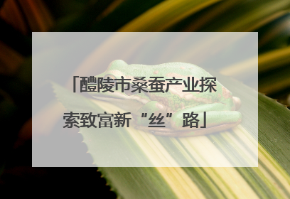 醴陵市桑蚕产业探索致富新“丝”路