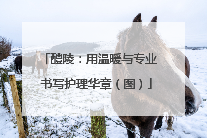 醴陵：用温暖与专业 书写护理华章（图）