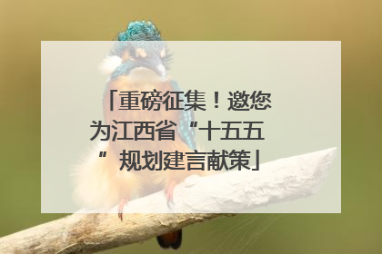 重磅征集！邀您为江西省“十五五”规划建言献策