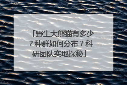 野生大熊猫有多少？种群如何分布？科研团队实地探秘