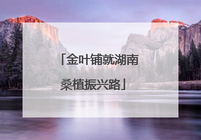 金叶铺就湖南桑植振兴路