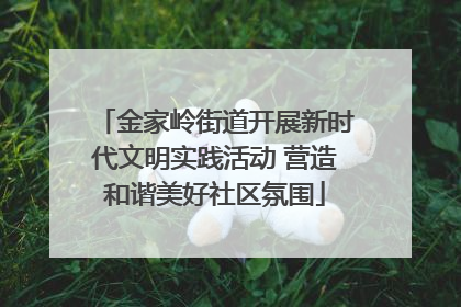 金家岭街道开展新时代文明实践活动 营造和谐美好社区氛围