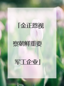 金正恩视察朝鲜重要军工企业