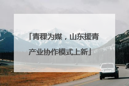 青稞为媒，山东援青产业协作模式上新