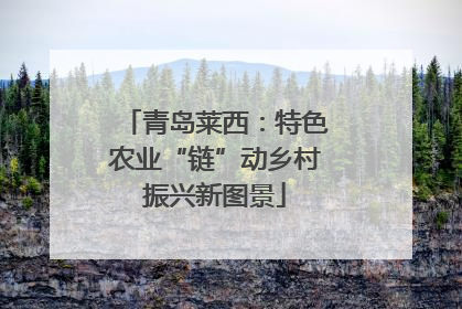 青岛莱西：特色农业“链”动乡村振兴新图景
