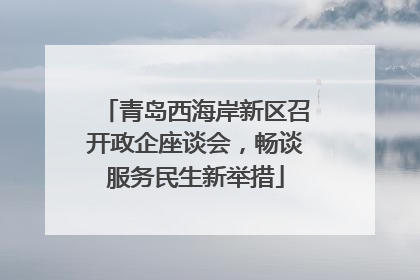 青岛西海岸新区召开政企座谈会，畅谈服务民生新举措