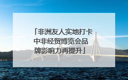 非洲友人实地打卡 中非经贸博览会品牌影响力再提升