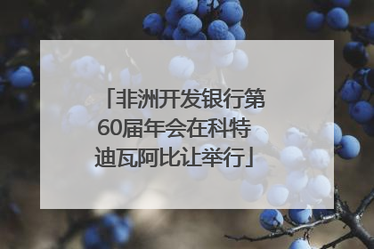 非洲开发银行第60届年会在科特迪瓦阿比让举行