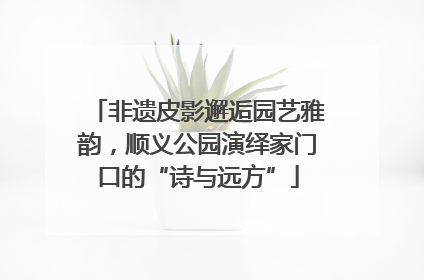 非遗皮影邂逅园艺雅韵，顺义公园演绎家门口的“诗与远方”