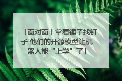 面对面丨拿着锤子找钉子 他们的开源模型让机器人能“上学”了