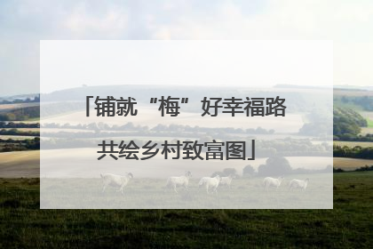 铺就“梅”好幸福路 共绘乡村致富图