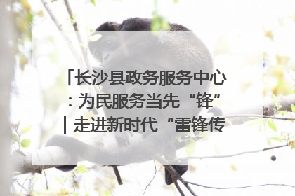 长沙县政务服务中心：为民服务当先“锋”｜走进新时代“雷锋传人 长沙榜样”