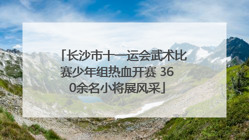 长沙市十一运会武术比赛少年组热血开赛 360余名小将展风采