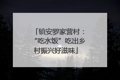 镇安罗家营村：“吃水饭”吃出乡村振兴好滋味
