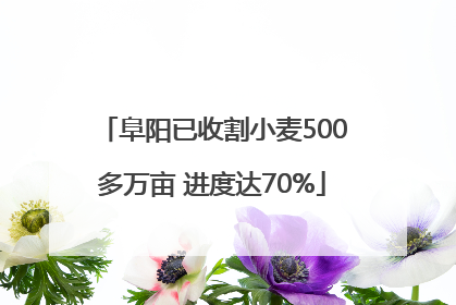 阜阳已收割小麦500多万亩 进度达70%