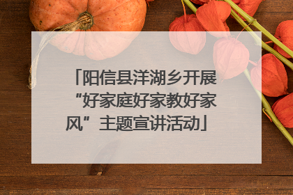 阳信县洋湖乡开展“好家庭好家教好家风”主题宣讲活动