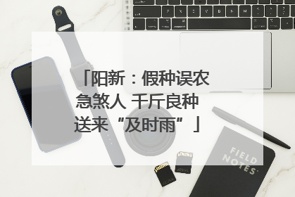 阳新：假种误农急煞人 千斤良种送来“及时雨”