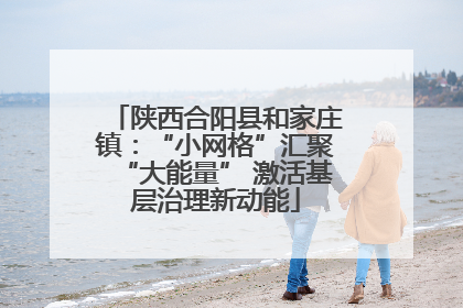 陕西合阳县和家庄镇：“小网格”汇聚“大能量” 激活基层治理新动能