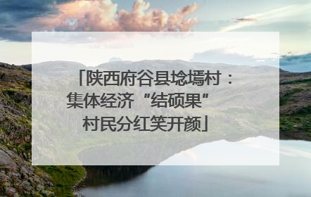 陕西府谷县埝墕村：集体经济“结硕果” 村民分红笑开颜