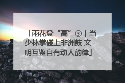 雨花登“高”③｜当少林拳碰上非洲鼓 文明互鉴自有动人韵律