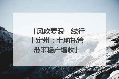 风吹麦浪一线行丨定州：土地托管带来稳产增收
