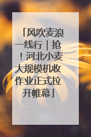 风吹麦浪一线行｜抢！河北小麦大规模机收作业正式拉开帷幕