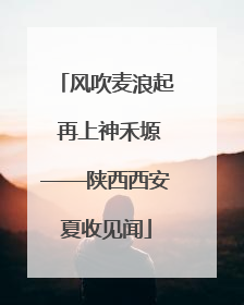 风吹麦浪起 再上神禾塬——陕西西安夏收见闻