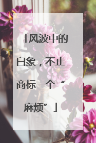 风波中的白象，不止商标一个“麻烦”