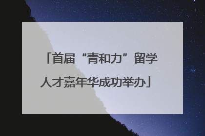 首届“青和力”留学人才嘉年华成功举办