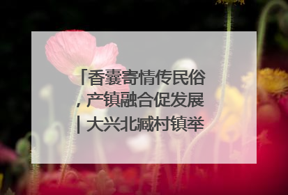 香囊寄情传民俗，产镇融合促发展｜大兴北臧村镇举办端午主题活动