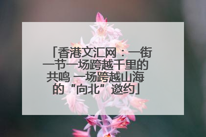 香港文汇网：一街一节一场跨越千里的共鸣 一场跨越山海的“向北”邀约