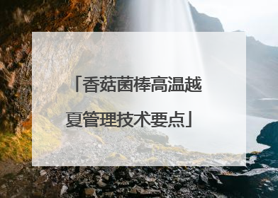 香菇菌棒高温越夏管理技术要点