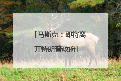 马斯克：即将离开特朗普政府