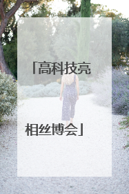高科技亮相丝博会