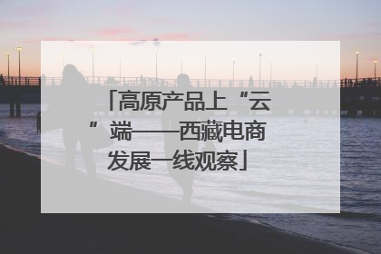 高原产品上“云”端——西藏电商发展一线观察
