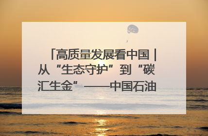 高质量发展看中国｜从“生态守护”到“碳汇生金”——中国石油大庆油田绿色蝶变