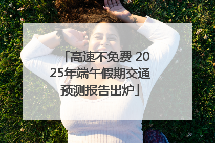 高速不免费 2025年端午假期交通预测报告出炉