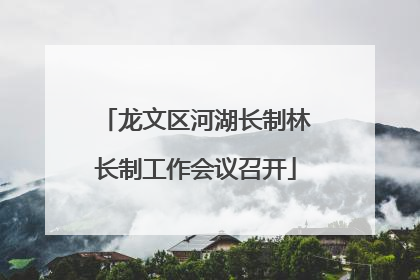 龙文区河湖长制林长制工作会议召开