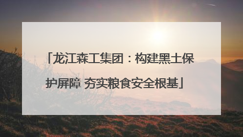 龙江森工集团：构建黑土保护屏障 夯实粮食安全根基