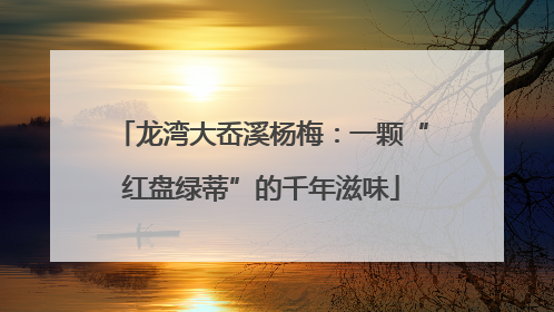 龙湾大岙溪杨梅：一颗“红盘绿蒂”的千年滋味