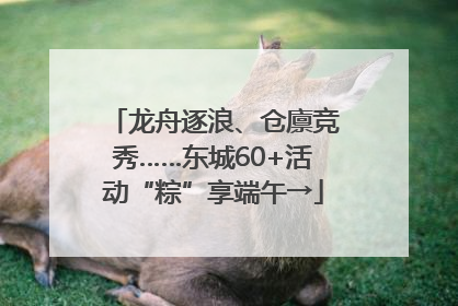 龙舟逐浪、仓廪竞秀……东城60+活动“粽”享端午→