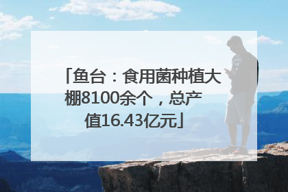 鱼台：食用菌种植大棚8100余个，总产值16.43亿元